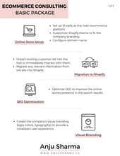 Load image into Gallery viewer, ECommerce Consulting Service - Basic Package