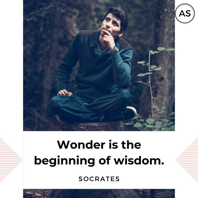 Wondering is the Beginning of Wisdom