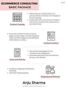 ECommerce Consulting Service - Basic Package